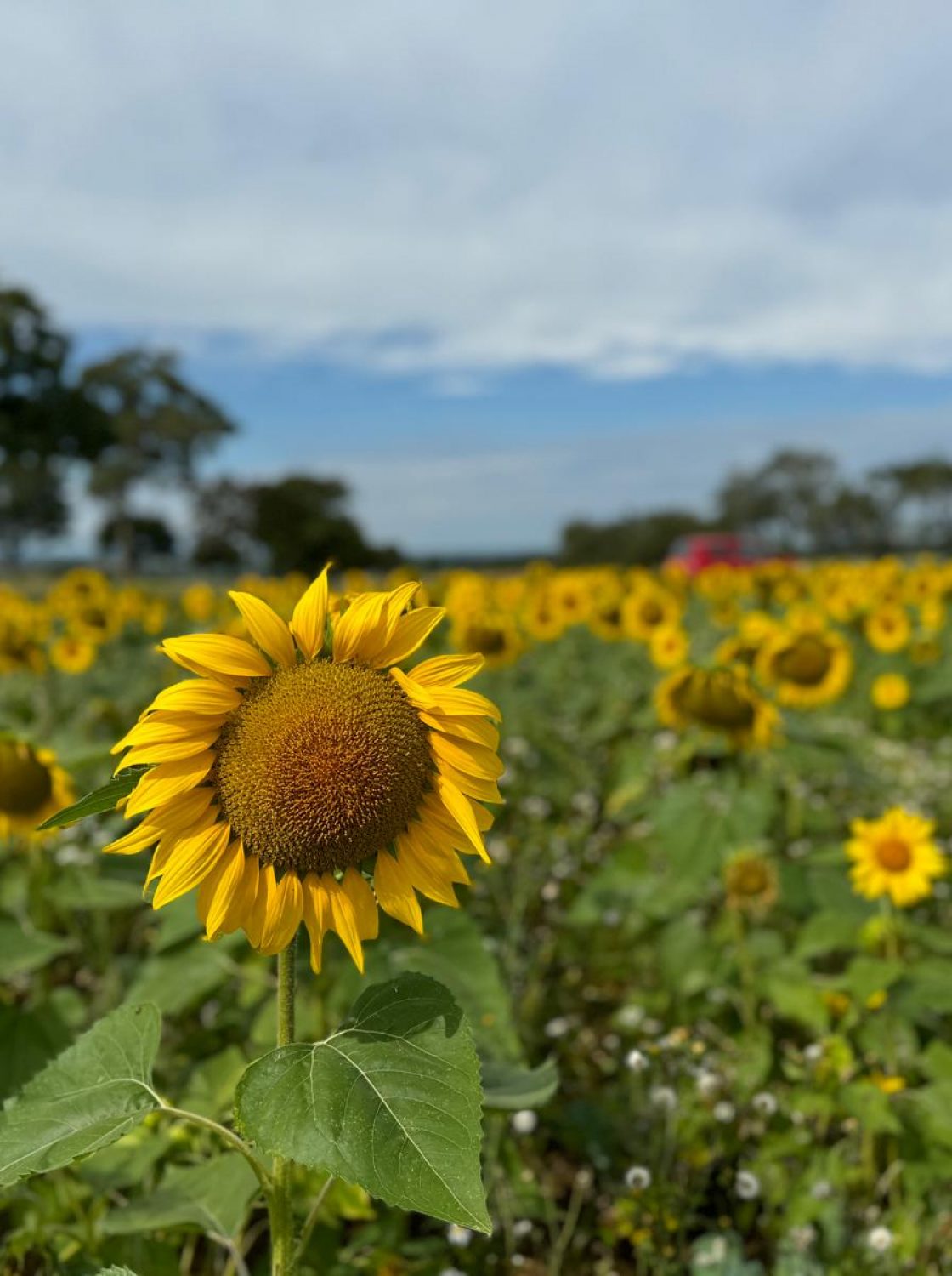 WhatsApp Image 2025-02-13 à 10.00.36_b0c71762